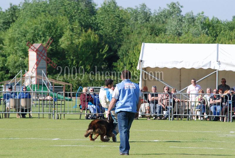 3 EME SELECTIF 2009 GRANDE SYNTHE 281.jpg